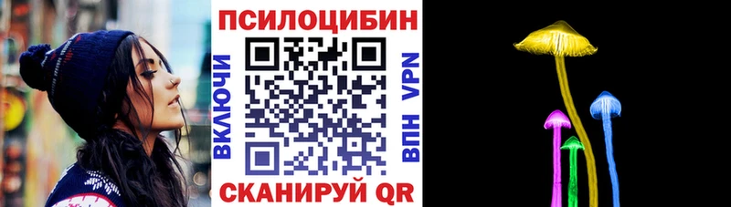 MEGA вход  даркнет сайт  Кинель  Псилоцибиновые грибы Psilocybine cubensis 