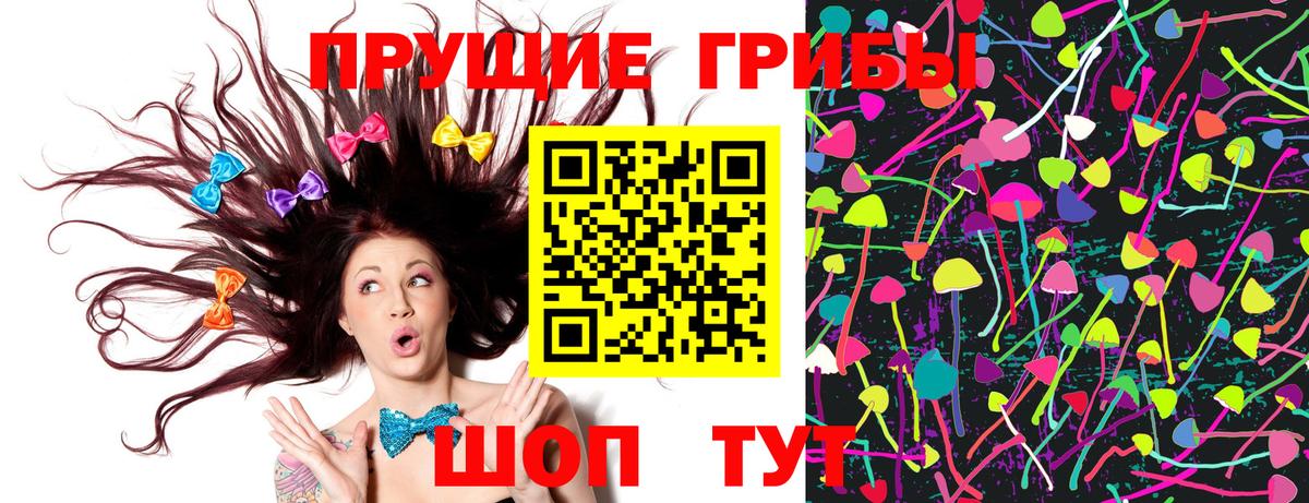 Кинель  как найти   Вход с VPN  Псилоцибиновые грибы Magic Shrooms 