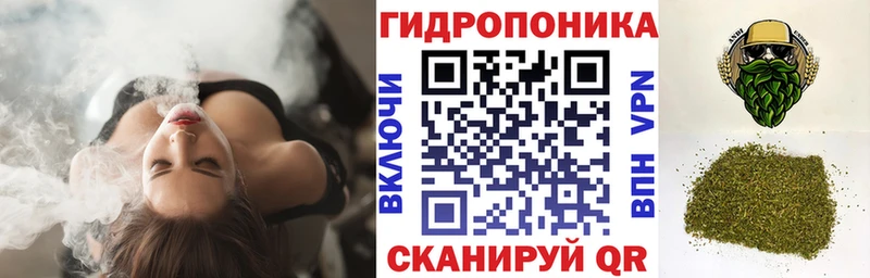 Каннабис ГИДРОПОН  Кинель 